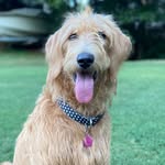 Gracie Grillo - @gracielynngrillo - Instagram