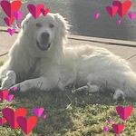 Lynn Grimm - @aus8jol2 - Instagram