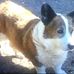 Lynn Griner - Facebook