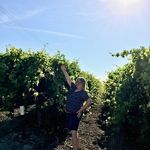 Lynn Haake - @lynnhaake - Instagram
