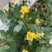 Lynn Haberman - Facebook
