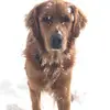 Lynn Haggerty - @lynn.haggerty2 - TikTok
