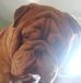 Lynne Haggerty - Facebook
