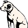Linus - @lynnehalverson - TikTok
