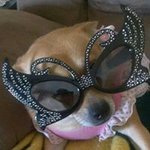 Lynn Halverson - @twosassie4u - Instagram
