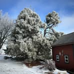 Lynn Halverson - Facebook