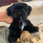 Lynn Halverson - @halversonlynn - Instagram
