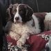 Lynn Ham - Facebook