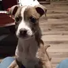 Lynn Hamm - @lynn.hamm5 - TikTok