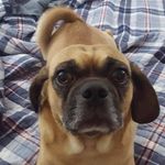 Cheryl Lynn Haman - @cheryllynnhaman - Instagram