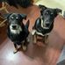 Lynne Hageman - Facebook