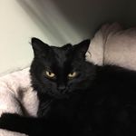 Lynn Brady Hamilton Hamblin - @fipok61832 - Instagram