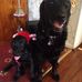 Lynne Hamblin - Facebook