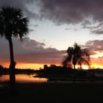 Lynn Hamel - @faster.n.nell - Instagram