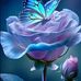 Lynn Hummell  - Facebook