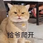 Lynn Hang - @lynn130130 - Instagram