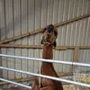 Lynne Hanley - @lynne.hanley - TikTok