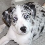 Loretta Lynn Hardesty - @loretta.lynnhardesty - Instagram