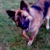 Lynn Harding - @lynn.harding5 - TikTok