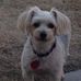 Lynn Harms - Facebook