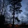 Lynn Haynes - @lynn.haynes15 - TikTok