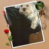 healeygracelynn5gmail.co - @healeygracelynn5gmail.co - TikTok