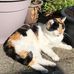 Lynn Healey - Facebook