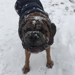 Lynn Hedges-geast - @hedgesgeast - Instagram