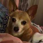 Shelley Lynn Hedges - @shelleylcothren - Instagram