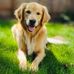 Lynn Heiman - Facebook