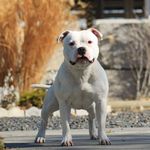 Lynn Heimbuch - @lynnheimbuch - Instagram