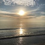 Lynn Heise - @navolio48 - Instagram