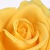 Lynn Henness - Facebook