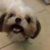 lynnhenning410 - @lynnhenning410 - TikTok