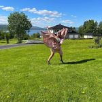 Lynn Lusterio Henriksen - @teovilyn - Instagram