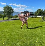 Lynn Lusterio Henriksen - Facebook