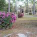 Lynn Haven Heritage Society - Facebook