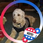 Lyn Higby - Facebook