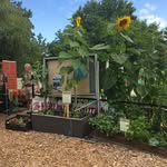 Lynn Highlands Coalition - @lynnhighlandsco - Instagram