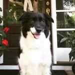 Lynn Heinz Hightower - @lynnhh57 - Instagram