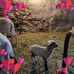 Lynn Hirschey - Facebook