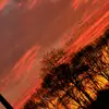 lynnhoekstr03 - @lynnhoekstra03 - TikTok