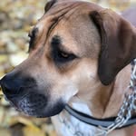 Lynn Hogue - @lynnhogue - Instagram