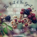 Lynn Hogue - @lynnhogue01 - Instagram