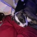 Marylynn Holder - @mary_lynnholder - Instagram