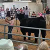 maddalynn Holman - @maddalynnholman - TikTok
