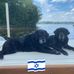 Lynn Capella Holmquist - Facebook