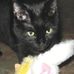 Lynne Holmquist - Facebook