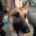 Lynn Homan - Facebook