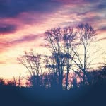 Austin lynn hook - @bandlover456789 - Instagram